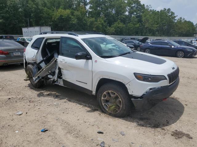 1C4PJMBX2ND508483 - 2022 JEEP CHEROKEE TRAILHAWK Ağ foto 4