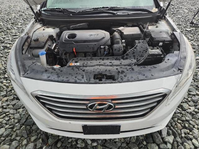 5NPE24AF8HH524697 - 2017 HYUNDAI SONATA SE 白色 照片 11