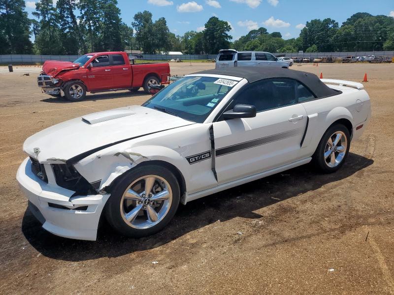 2007 FORD MUSTANG GT, null