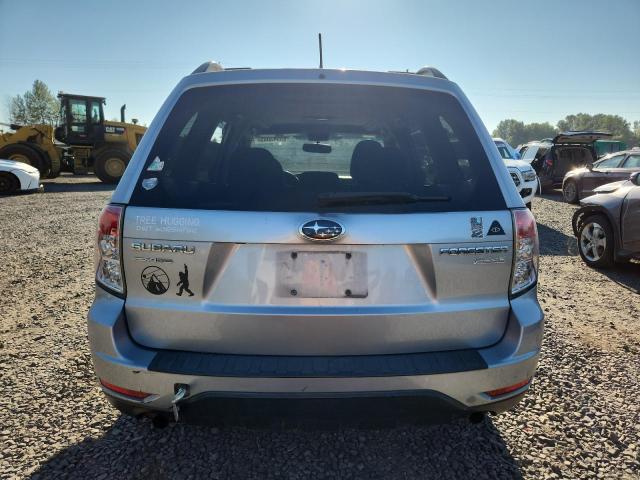 JF2SHADC4DG412433 - 2013 SUBARU FORESTER 2.5X PREMIUM SILVER photo 6