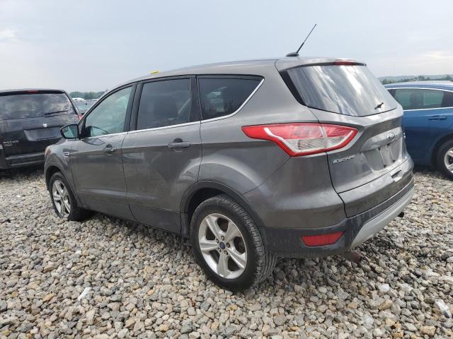 1FMCU9GX1EUB33502 - 2014 FORD ESCAPE SE GRAY photo 2