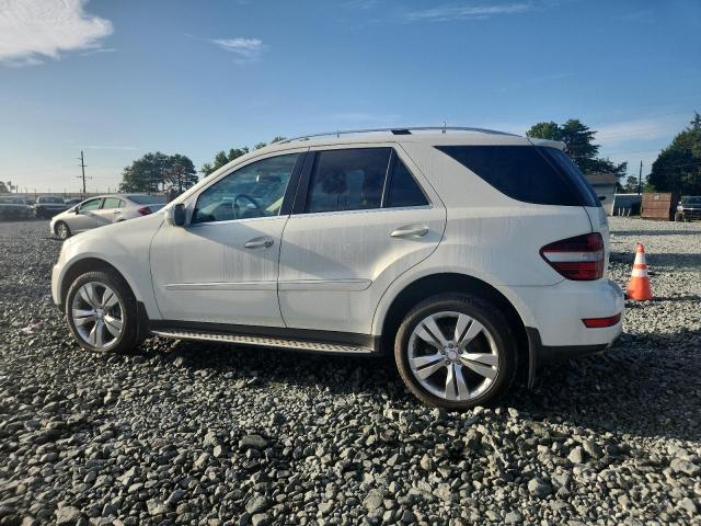 4JGBB8GB3AA542600 - 2010 MERCEDES-BENZ ML 350 4MATIC WHITE photo 2