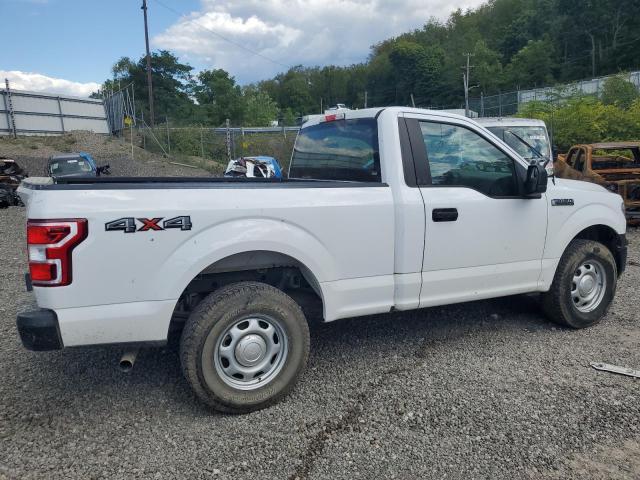 1FTMF1EB2KKD48051 - 2019 FORD F150 WHITE photo 3