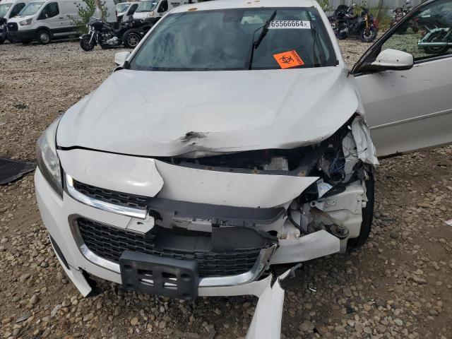 1G11C5SL0EF103982 - 2014 CHEVROLET MALIBU 1LT 白色 照片 11