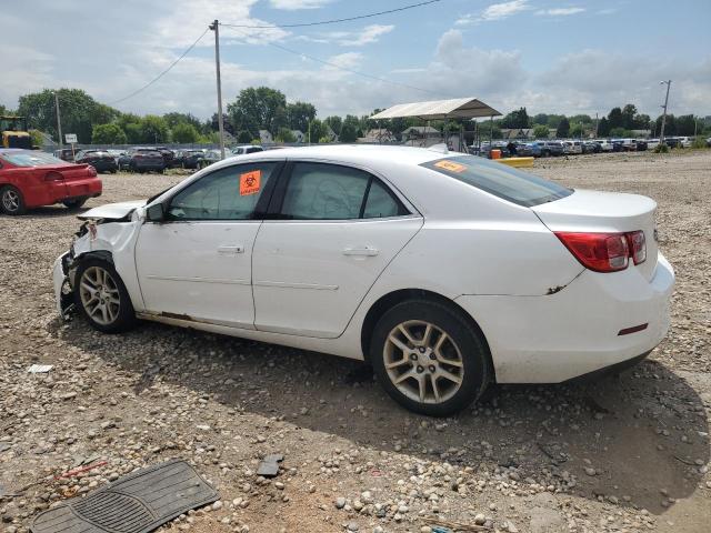 1G11C5SL0EF103982 - 2014 CHEVROLET MALIBU 1LT 白色 照片 2