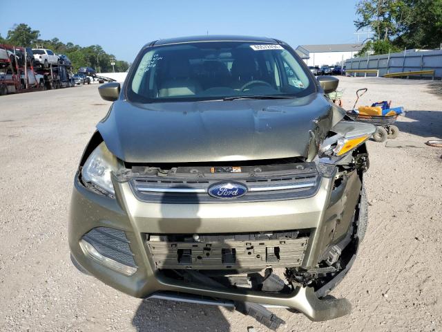 1FMCU0G95EUA50328 - 2014 FORD ESCAPE SE GREEN photo 5