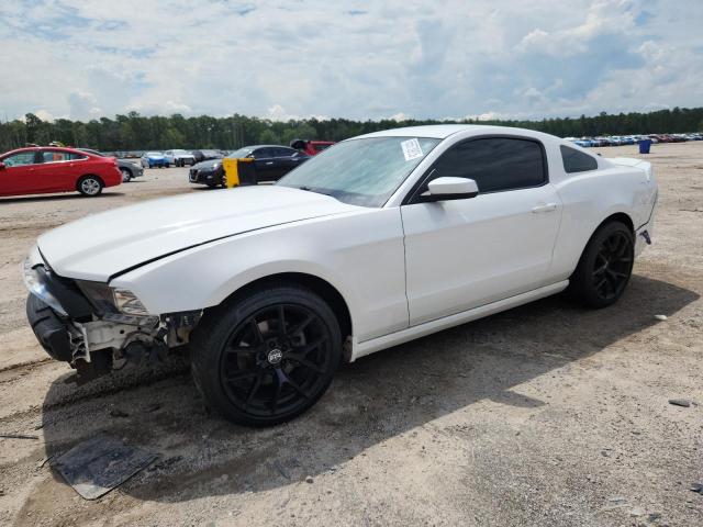 2013 FORD MUSTANG, 