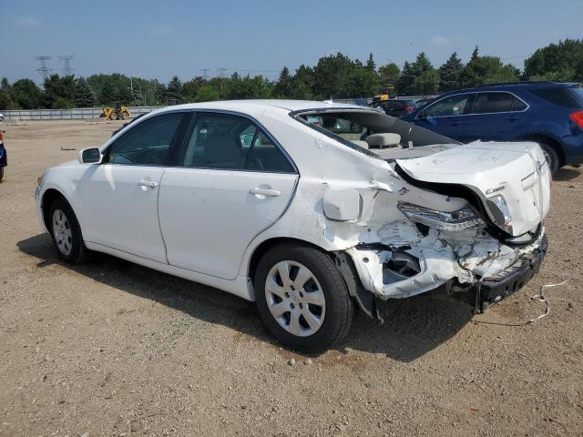 4T4BF3EK6AR012636 - 2010 TOYOTA CAMRY BASE თეთრი ფოტო 2