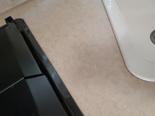 4YDF2552117301331 - 2001 KEYSTONE HORNET WHITE photo 9