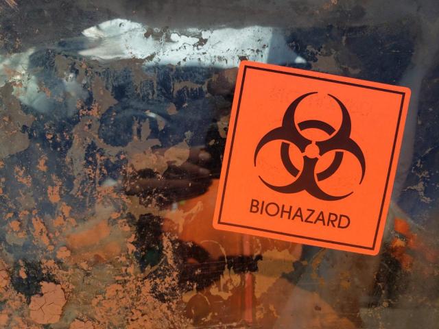 2T1BU4EE8DC085562 - 2013 TOYOTA COROLLA BASE Narıncı foto 7