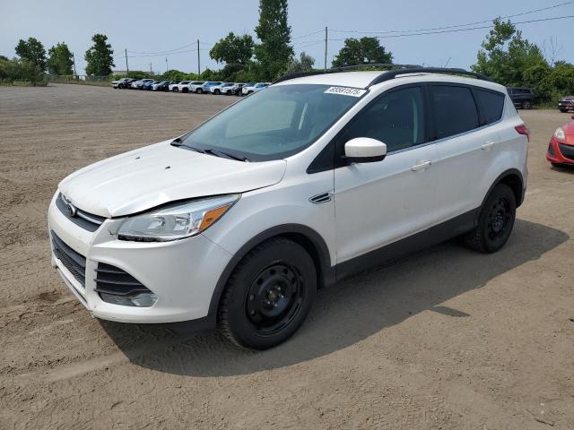 2014 FORD ESCAPE SE, 