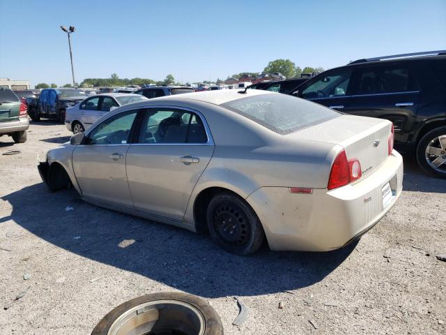 1G1ZC5E12BF138922 - 2011 CHEVROLET MALIBU 1LT BEIGE photo 2