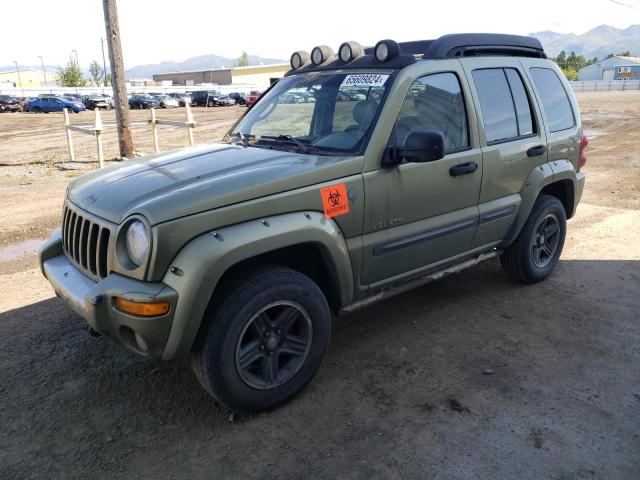 1J4GL38K24W169401 - 2004 JEEP LIBERTY RENEGADE 绿色 照片 1