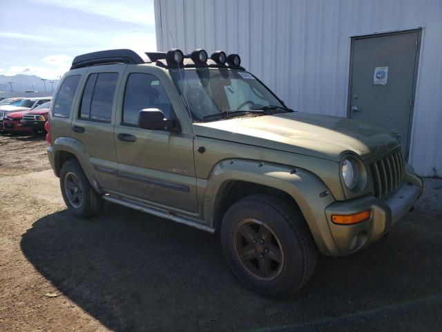 1J4GL38K24W169401 - 2004 JEEP LIBERTY RENEGADE 绿色 照片 4