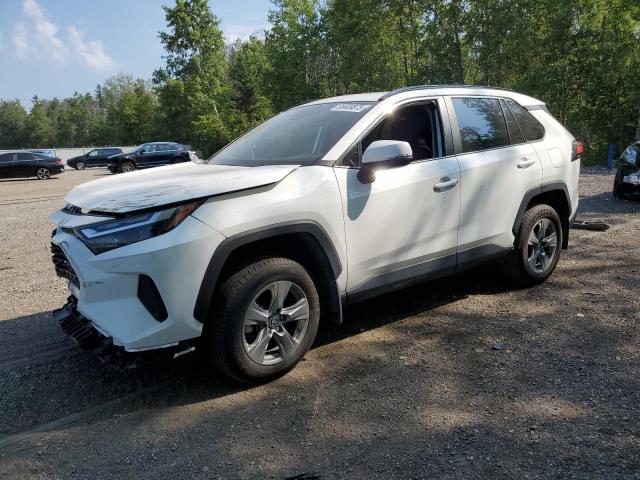 2023 TOYOTA RAV4 XLE, 