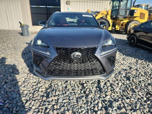 JTJYARBZ7K2153396 - 2019 LEXUS NX 300 BASE Grau Foto 5