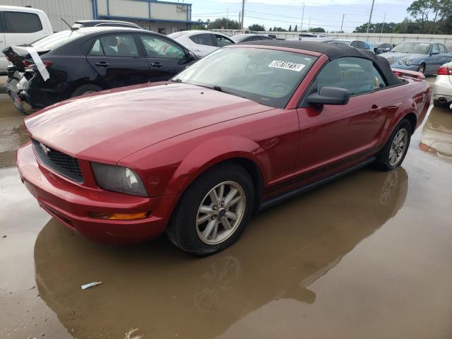 1ZVFT84N165233965 - 2006 FORD MUSTANG RED photo 1