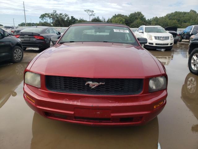 1ZVFT84N165233965 - 2006 FORD MUSTANG RED photo 5