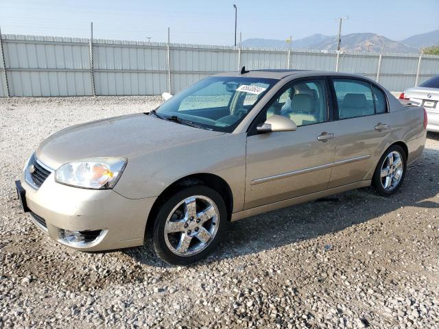 1G1ZU57N07F299029 - 2007 CHEVROLET MALIBU LTZ თაფლისფერი ფოტო 1