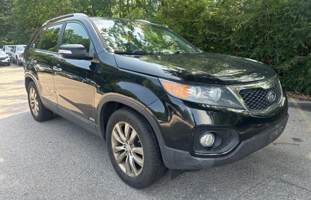 5XYKUDA26BG038804 - 2011 KIA SORENTO EX BLACK photo 1