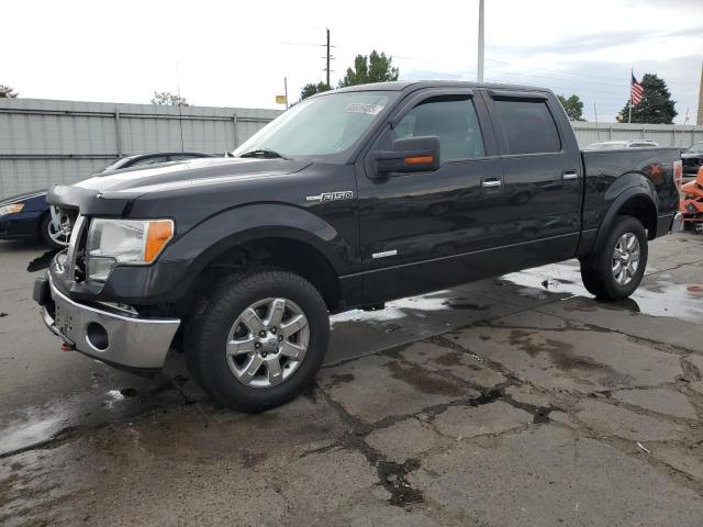 2013 FORD F150 SUPERCREW, null