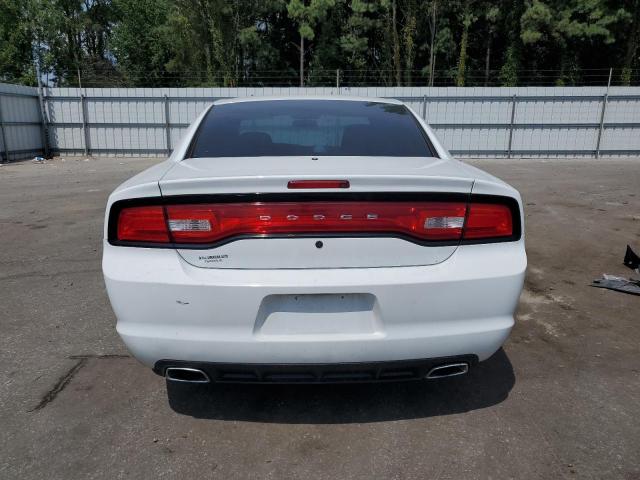 2C3CDXAT0DH716129 - 2013 DODGE CHARGER POLICE WHITE photo 6