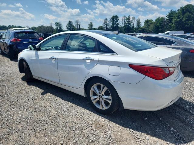 5NPEC4AC0DH636195 - 2013 HYUNDAI SONATA SE თეთრი ფოტო 2