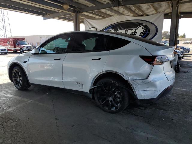 7SAYGDEE3NF387083 - 2022 TESLA MODEL Y WHITE photo 2