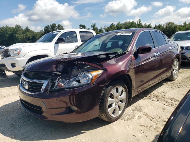 5KBCP3F80AB015013 - 2010 HONDA ACCORD EXL BURGUNDY photo 1