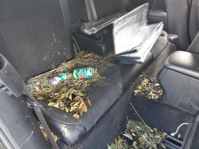 2C3CDZFJ6FH823787 - 2015 DODGE CHALLENGER R/T SCAT PACK BLACK photo 10