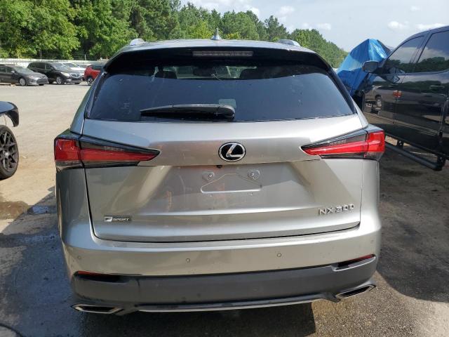 JTJYARBZ5K2126049 - 2019 LEXUS NX 300 BASE Gümüş foto 6