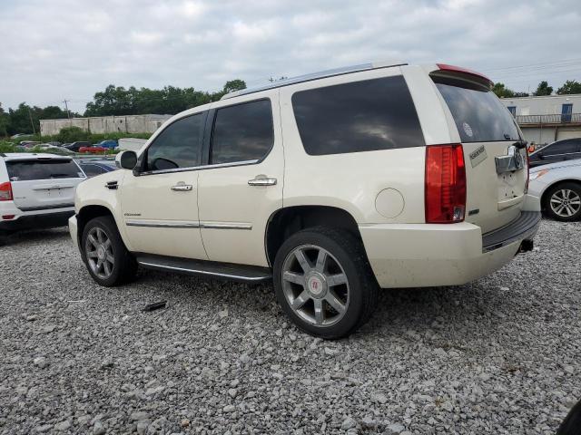 1GYUKBEF4AR138359 - 2010 CADILLAC ESCALADE LUXURY Weiß Foto 2