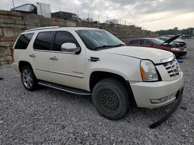 1GYUKBEF4AR138359 - 2010 CADILLAC ESCALADE LUXURY Weiß Foto 4