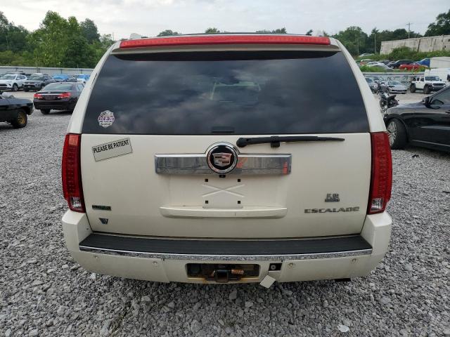 1GYUKBEF4AR138359 - 2010 CADILLAC ESCALADE LUXURY Weiß Foto 6