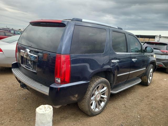 1GYFK63807R130594 - 2007 CADILLAC ESCALADE LUXURY BLUE photo 3