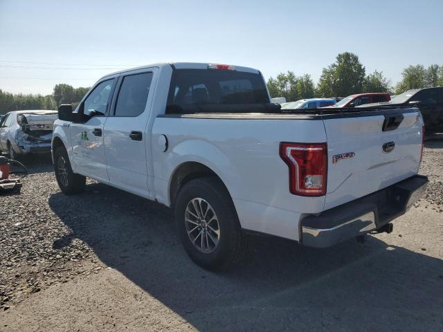 1FTEW1CG1FFA30441 - 2015 FORD F150 SUPERCREW WHITE photo 2