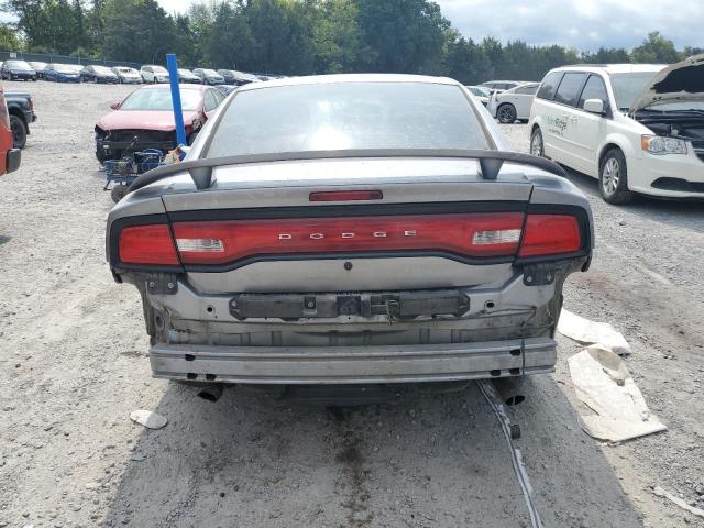 2C3CDXAT6EH155601 - 2014 DODGE CHARGER POLICE SILVER photo 6