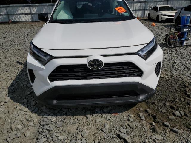 2T3F1RFV1RC482566 - 2024 TOYOTA RAV4 LE 白色 照片 5