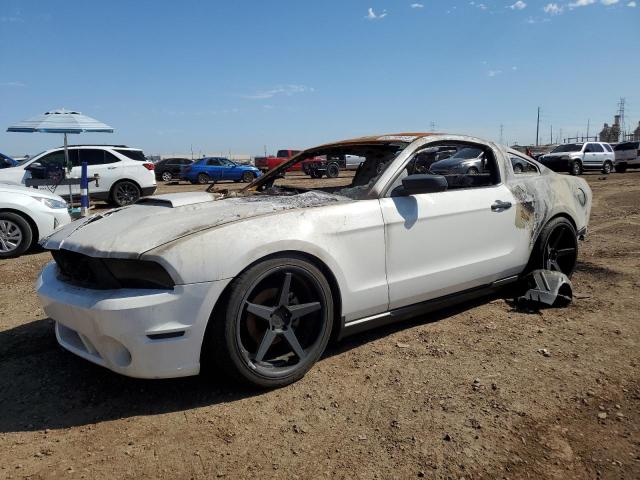 1ZVBP8AN4A5117384 - 2010 FORD MUSTANG WHITE photo 1