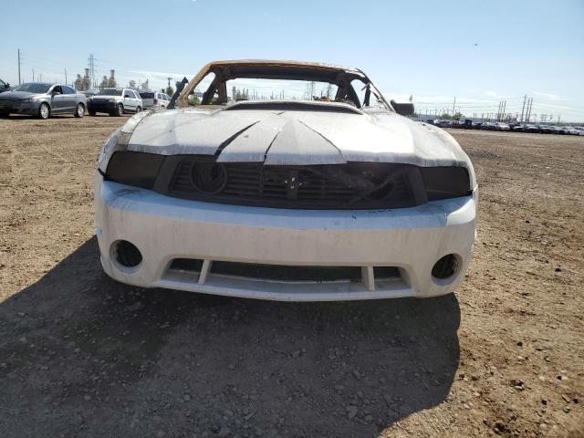 1ZVBP8AN4A5117384 - 2010 FORD MUSTANG WHITE photo 5