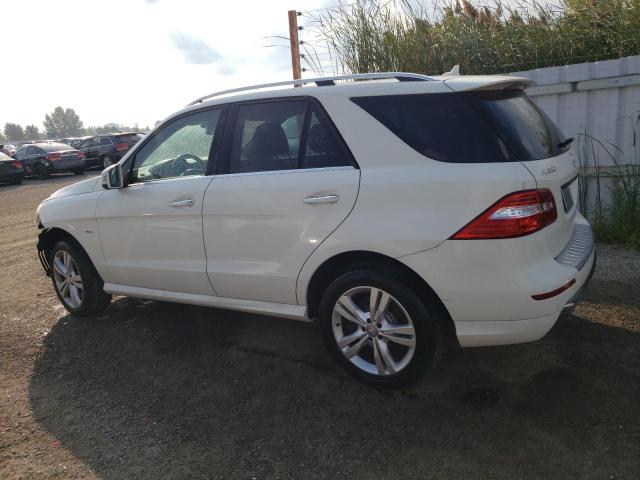 4JGDA5HB4CA089955 - 2012 MERCEDES-BENZ ML 350 4MATIC WHITE photo 2