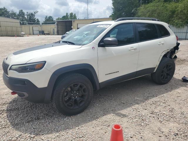1C4PJMBX0KD353184 - 2019 JEEP CHEROKEE TRAILHAWK WHITE photo 1