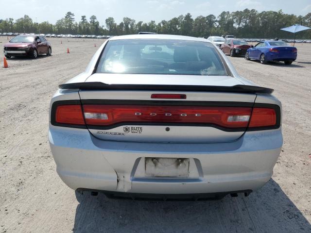 2C3CDXAG1EH318982 - 2014 DODGE CHARGER POLICE SILVER photo 6