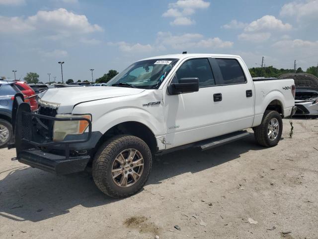2013 FORD F150 SUPERCREW, 