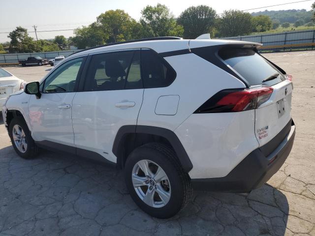 2T3MWRFVXKW024005 - 2019 TOYOTA RAV4 LE WHITE photo 2