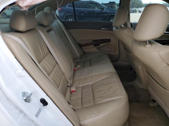 1HGCP36829A017463 - 2009 HONDA ACCORD EXL Ақ фото 10