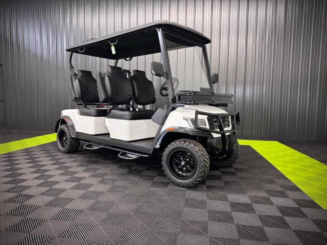 2024 FRME GOLF CART, 