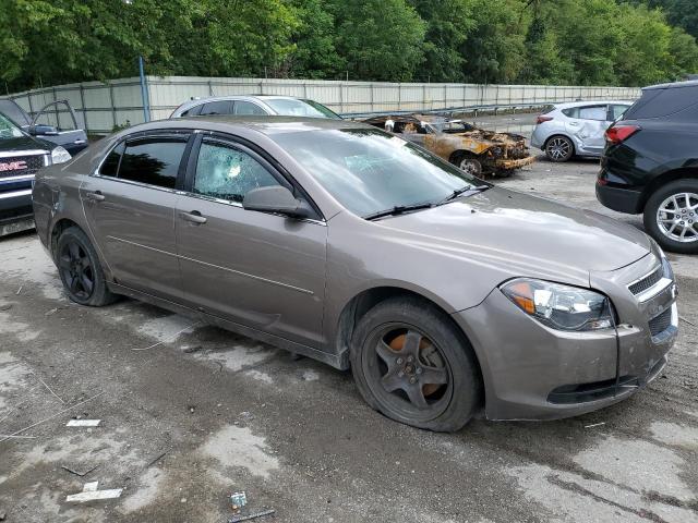 1G1ZA5EU8CF240582 - 2012 CHEVROLET MALIBU LS BROWN photo 4