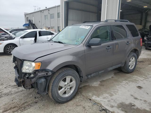 2010 FORD ESCAPE XLT, 