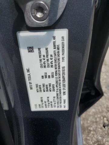 5YJ3E1EB4PF391616 - 2023 TESLA MODEL 3 Գրաֆիտ լուսանկար 12